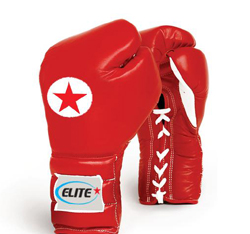 Elite Star Boxing Gloves